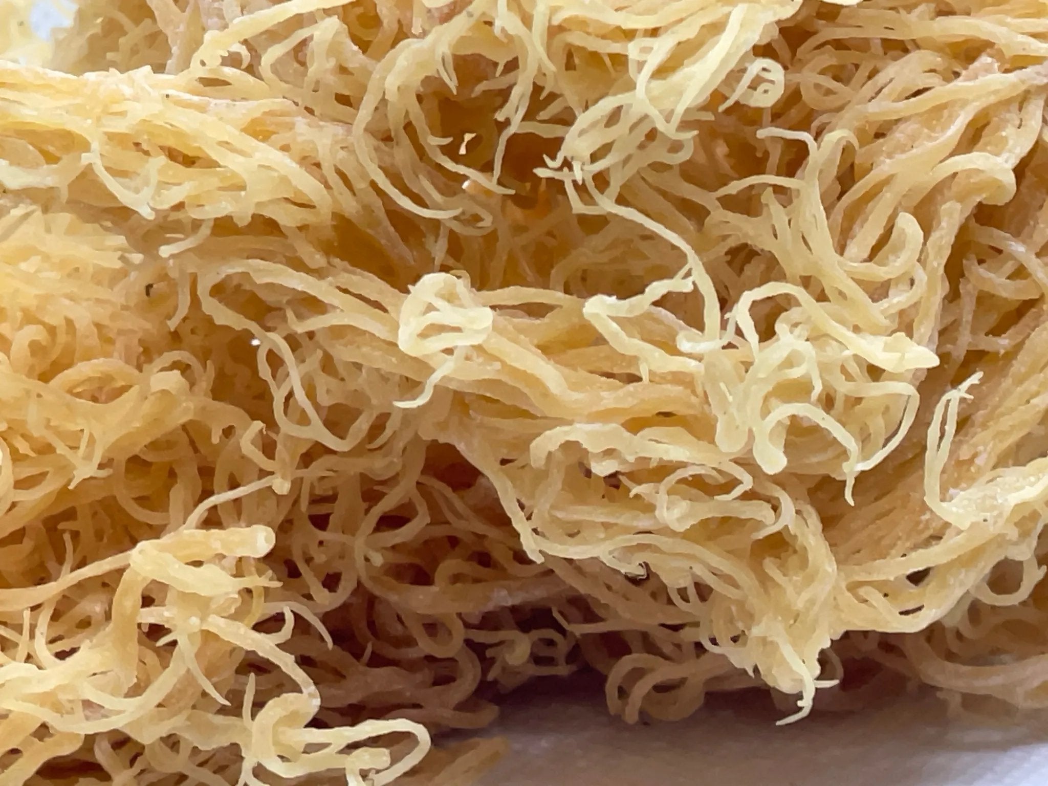 🌊 Premium St. Lucian Gold Seamoss